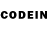 COCAIN Перу Rachel Daze