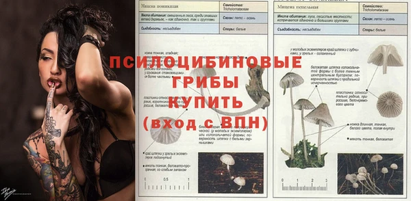 каннабис Алексеевка