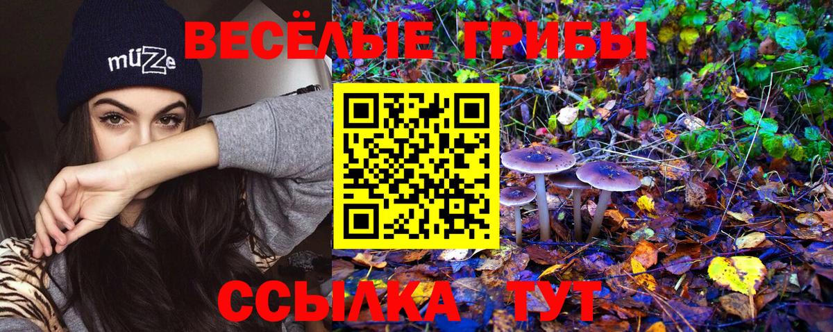 Боровичи  Псилоцибиновые грибы GOLDEN TEACHER  Вход с VPN  Галлюциногенные грибы прущие грибы 