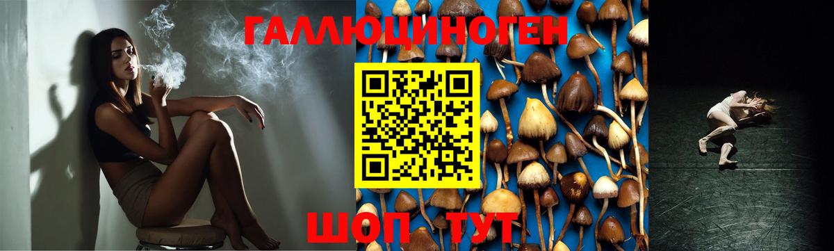 Галлюциногенные грибы Cubensis Боровичи